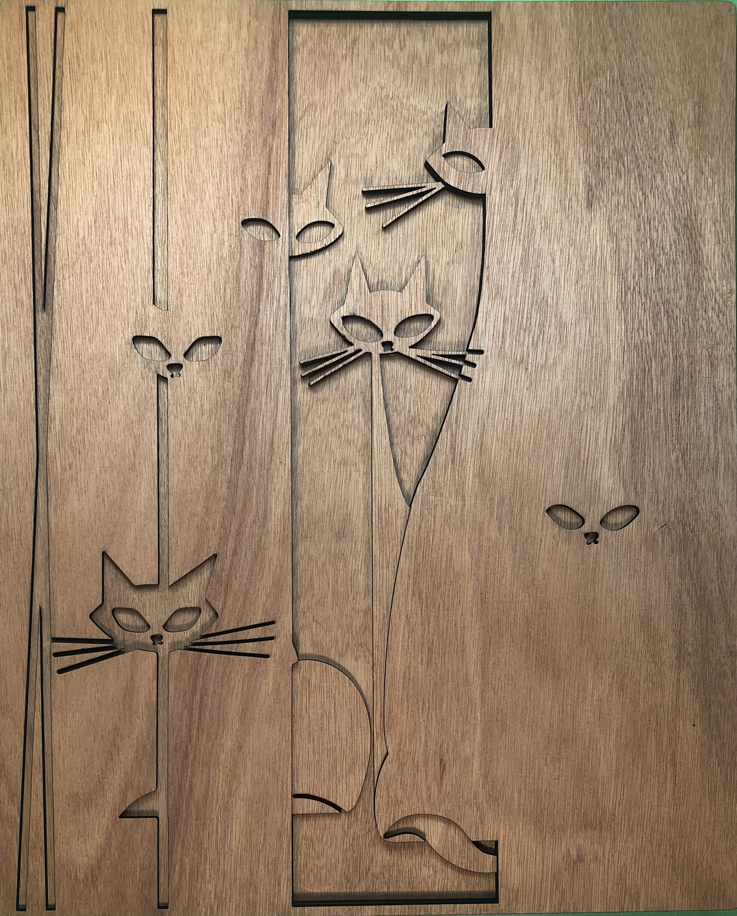 Cat family